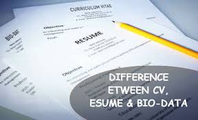 Now that we are clear with the differences of resume, cv and biodata, it is time to start making that perfect resume that will stand out. What Is The Difference Between Cv Resume Bio Data Write For Reader