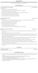 digital forensic analyst resume sample