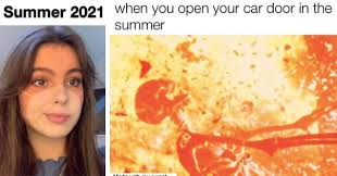 Find the newest funny summer meme. 31 Summer Memes That Are Pretty Funny Funny Gallery