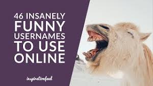 You have a couple of options in order to get a taken instagram username. 120 Insanely Funny Usernames To Use Online Inspirationfeed