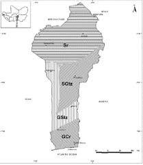 Image result for Synsepalum passargei