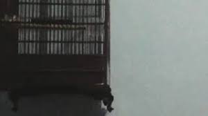 Burung decu jantan akan memiliki bulu yang hitam pada semuanya tubuhnya kecuali pada sayapnya yang. Decu Wulung Ngeplong Youtube