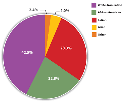 racial ethnic makeup united states