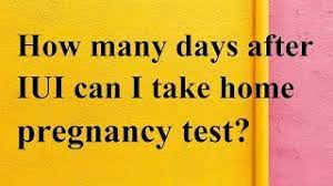 You should take a pregnancy test, whether in urine or blood, on the date your doctor determines. How Many Days After Iui Can I Take Home Pregnancy Test Meet Desire Youtube