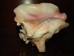 Maybe you would like to learn more about one of these? Conch Shell Horn 3 Steps Instructables