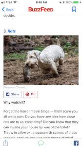 Do It Like We Do It On The Discovery Channel Pin By Not Ur Mama On Movies Discovery Channel Horror Movies Movies