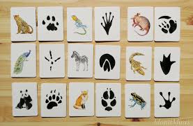 Gerade spuren, hinterlassen von tieren, finde. Wilden Tieren Auf Der Spur Montessori Blog Shop Montiminis