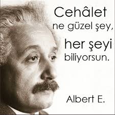 CAHİL CESARETİ / DUNNING – KRUGER SENDROMU – Elif'ce Dünya