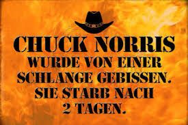 He happens to bad things. Chuck Norris Spruch 21 Blechschild Schild Gewolbt Metal Tin Sign 20 X 30 Cm Ebay