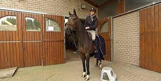 Congratulations ecurie gregory wathelet 🏆 winner of the small grand prix *** 🇧🇪 ©️picture: Coup Dur Pour Gregory Wathelet Son Cheval Souffre D Une Fracture Rtc Tele Liege