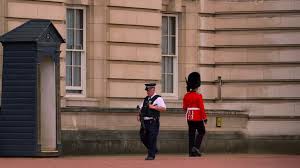 178 Buckingham Palace Window Stock Videos, Footage, & 4K Video Clips