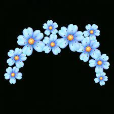 15 Flower Crowns Drawing Png