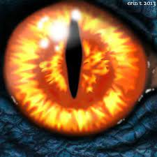 Pin By Jessica Jenkins On Dragon Eye Moon Tattoo Dragon Eye Tatto
