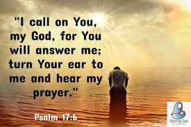 Never Bite The Hand That Feeds You Bible Verse I Call On You My God For You Will Answer Me Turn Your Ear To Me And Hear My Prayer Psalm 17 6 Bible Bible Prayers God Quotes About Life Prayer Quotes