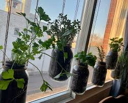 Image result for tbn:kc8eABZg-wZjqM::blog.lib.umn.edu/biomdoc/access_services/cupcake.jpg