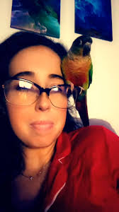 Sweet then sour smh what am I gonna do with this one now 🤷🏻‍♀️🤦🏻‍♀️  #veteranveterinarian #birds #conure. #greencheek  #greencheekconuresofinstagram #animals #vetmedlife #veterinarymedicine ...