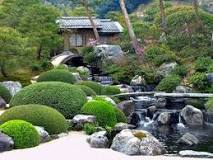 Le jardin japonais | Silence, ça pousse !
