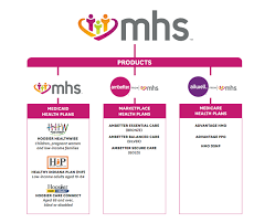 Https Www Mhsindiana Com Content Dam Centene Mhsindiana Medicaid Pdfs 2020 Provider Orientation Pdf