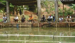 Sistem Mancing Di Kolam Pemancingan Hewanpedia