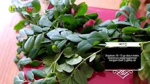 Dalam pengobatan tradisional, daun kelor dipercaya berkhasiat untuk mengobati diabetes, nyeri sendi, infeksi bakteri, hingga kanker. Streaming Cara Mengolah Daun Kelor Untuk Diabetes Vidio Com
