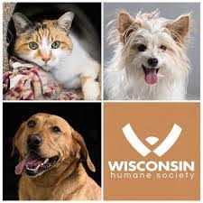 Maybe you would like to learn more about one of these? For Pets Sake Veterinary Clinic Forpetssakevet Twitter