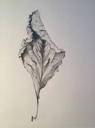 Pin On Art