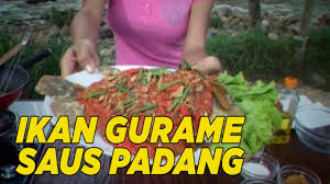 Get your hands on this food. Ikan Gurame Saus Padang Yang Menggugah Selera Ala Chef Youtube