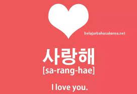 Banyak sekali cara untuk mengungkapkan rasa sayang dan cinta terhadap pacar, seperti pada bahasa korea ini. Belajar Bahasa Korea Aku Cinta Kamu Belajarbahasakorea Net