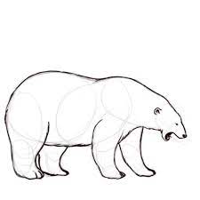 A l'aide de formes simples, nous allons créer la structure de l'animal. How To Draw A Polar Bear 14 Steps With Pictures Wikihow Polar Bear Coloring Page Polar Bear Outline Polar Bear Drawing