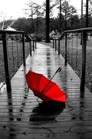 252,696 color splash stock video clips in 4k and hd for creative projects. Pin By Sonja Weber On Favourite Colours Red Rain Photography White Photography Red Umbrella