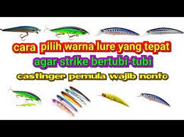 Ikan koi juga dapat bertahan hidup makanan alami yang berfungsi untuk mempertegas warna koi adalah makanan yang kaya kandungan karotin. Tips Memilih Warna Lure Yg Cocok Dengan Kondisi Air Agar Mudah Terlihat Oleh Ikan Youtube