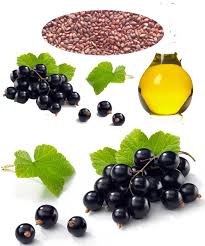 If you apply back currant oil hair loss won't be your problem any longer. Blackcurrant Seed Oil Health Supplement Benefits Uses Side Effects