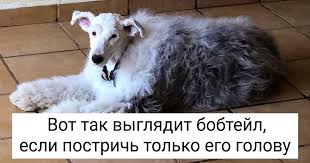 400 anglijskih slov kotoryh budet dostatochno dlya ponimaniya 75 tekstov uprazhneniya ploskij zhivot yagodichnye myshcy