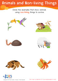 Here are some interesting science experiments to break your preschooler boredom. Kindergarten Science Worksheets And Free Printables
