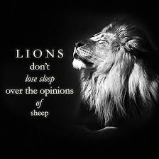 Follow me on instagram beastdesire beastdesire beast. Lions Don T Lose Sleep Lions Dont Lose Sleep Lion Quotes Warrior Quotes