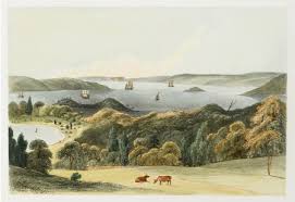 Sydney Harbour From The Government Domain History Images Harbour Botanical Illustration