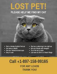 Common use of cat poster is to find out the missing cats. Missing Cat Poster Template Free Guide At Cats Addlab Aalto Fi