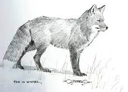 Pin On Fox Love