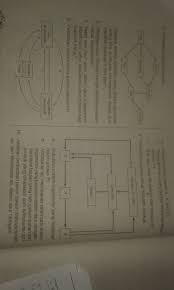 Tolong Jawab Pertanyaan No 8 Dan No 9 Brainly Co Id