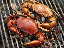 Tips Memasak Kepiting Yang Mudah Dan Anti Ribet Mahi