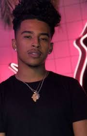 Princetonmindlessbehavior Stories