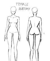 Anime Anatomy Drawing Reference Here presented 56+ female body reference drawing images for free to download, print or share.