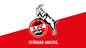 Fc köln wallpapers to download for free. 1 Fc Koln Wallpapers Wallpaper Cave