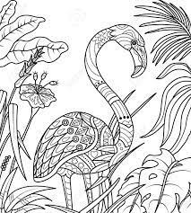 If your child loves interacting. Flamingo Coloring Page Vector Illustration For Adult Coloring Books Or Tattoos Isolated On White Background Royalty Free Cliparts Vectors And Stock Illustration Image 119975972