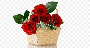 Browse millions of popular flowers wallpapers and ringtones on zedge and personalize your phone to suit you. Desktop Wallpaper Rose Download Flower Png 700x437px Rose Artificial Flower Cut Flowers Desktop Environment Drawing Download