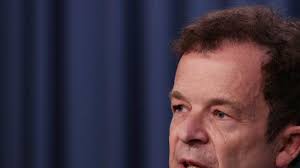 NSW Liberal leader backs Indigenous voice