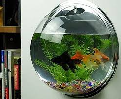 Pengukur kadar garam 65rb 13. Harga Aquarium Mini Bulat Lengkap Dengan Harga Filter