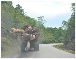 Farmasi naz (cawangan) is located in pasir mas, kelantan. Sustainability Free Full Text Limits Of The Environmental Impact Assessment Eia In Malaysia Dam Politics Rent Seeking And Conflict Html