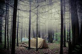 Untitled Camping In The Woods Camping And Hiking Adventure Camping