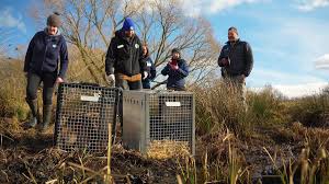 @cairngormsnews's video Tweet